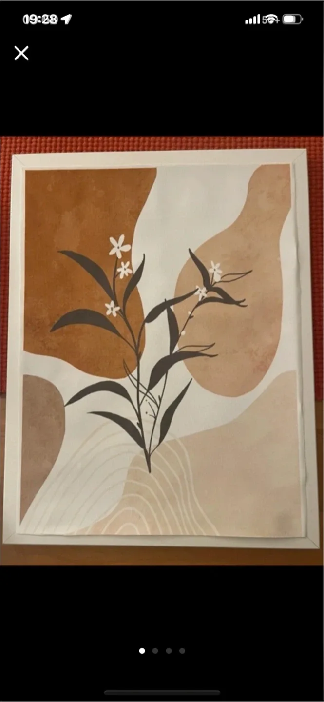 Set of two paintings plus frames