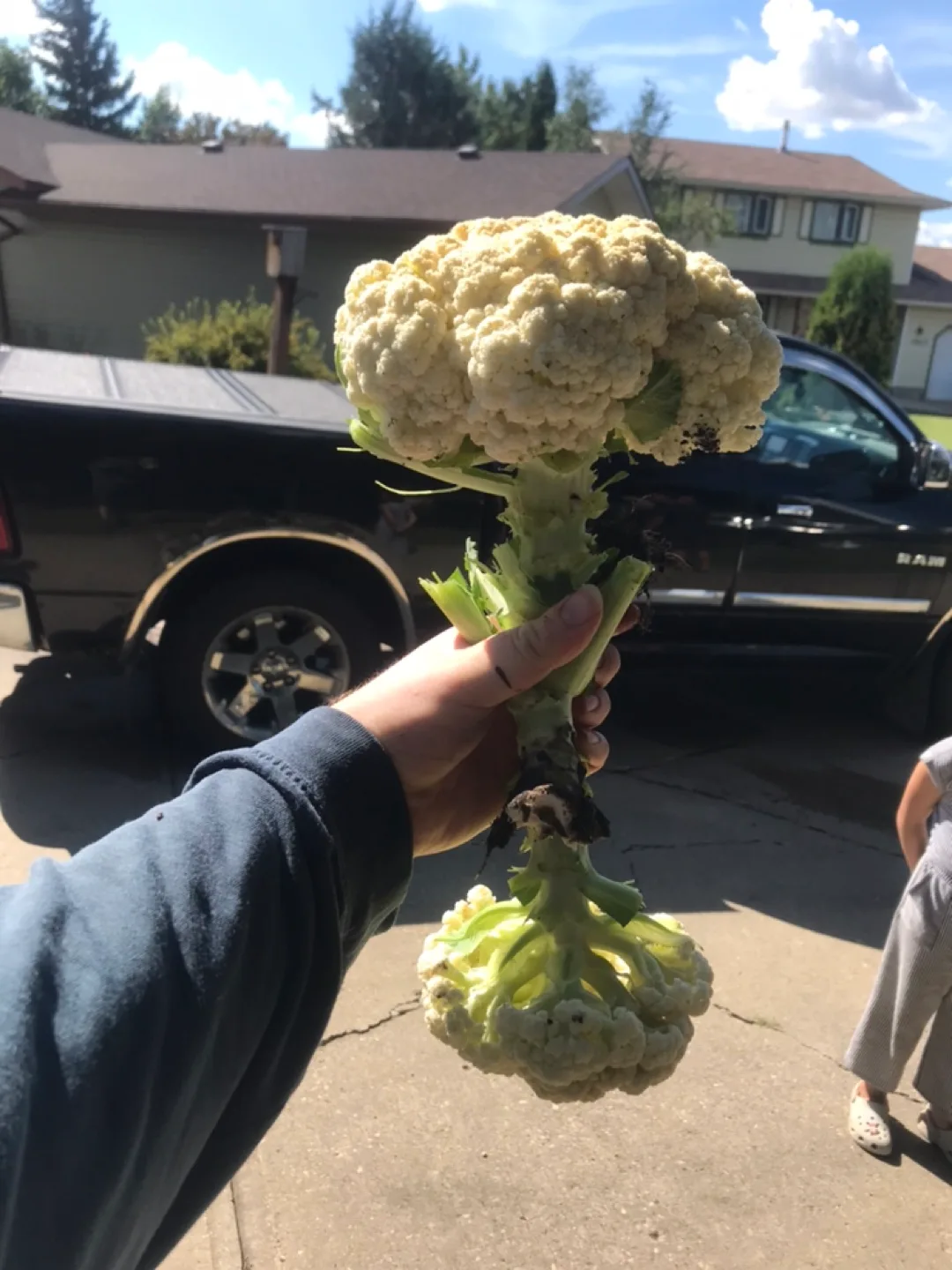 West Edmonton Exclusive Blake Mackinnon’s various deals image indicator(4)