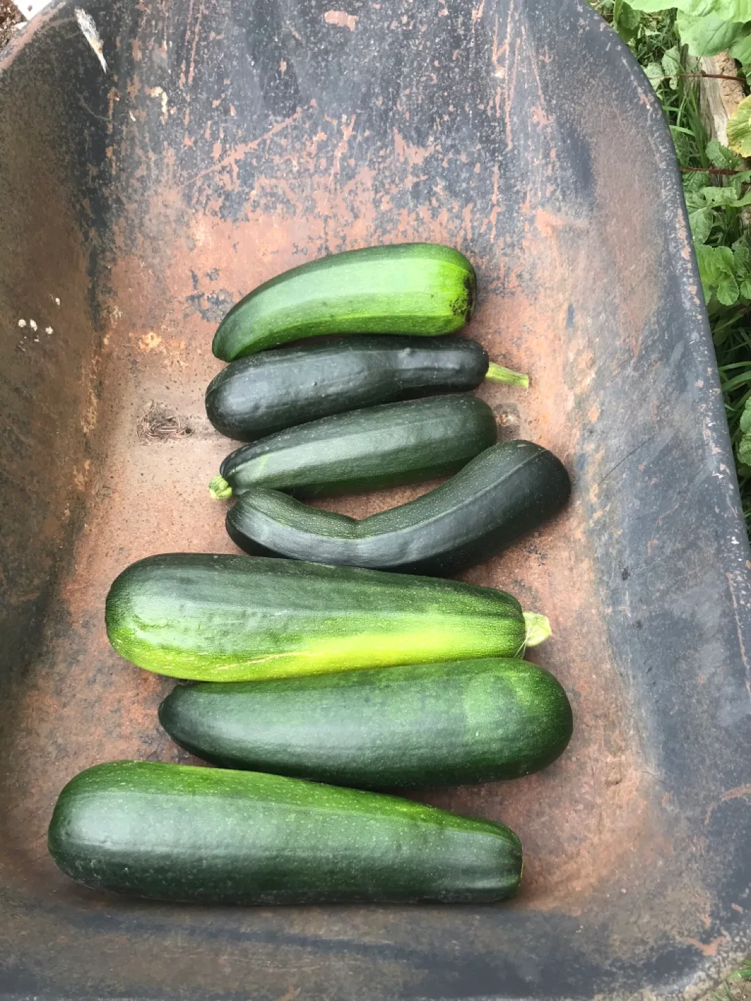 West Edmonton Exclusive Blake Mackinnon’s various deals image indicator(6)