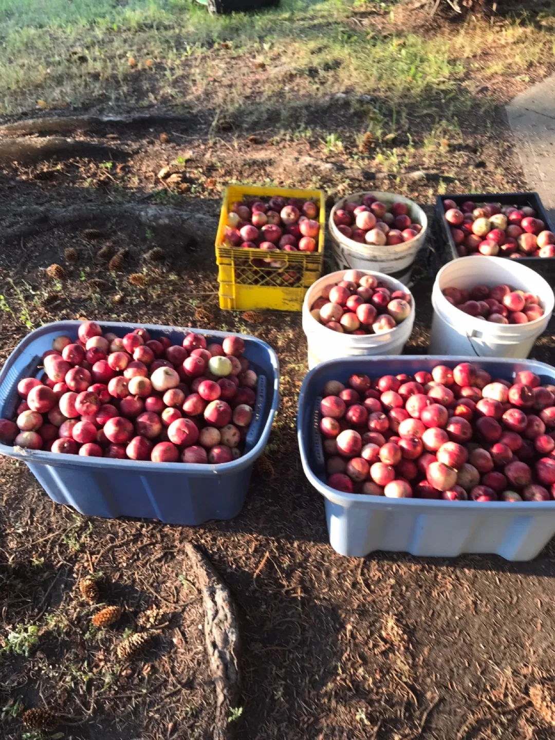 West Edmonton Exclusive Blake Mackinnon’s various deals image indicator(7)