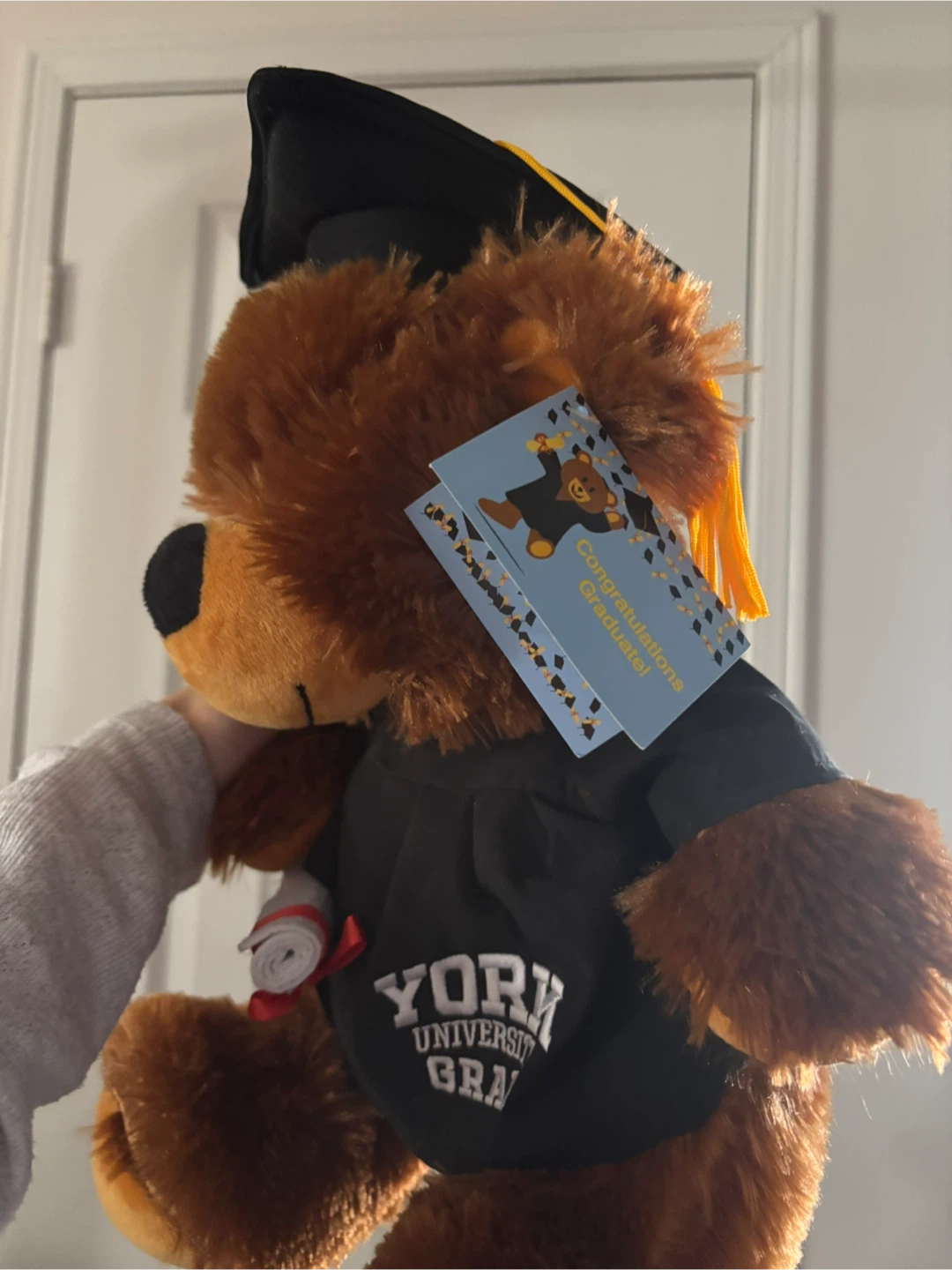 York University Graduation Teddy Bear - photo 2
