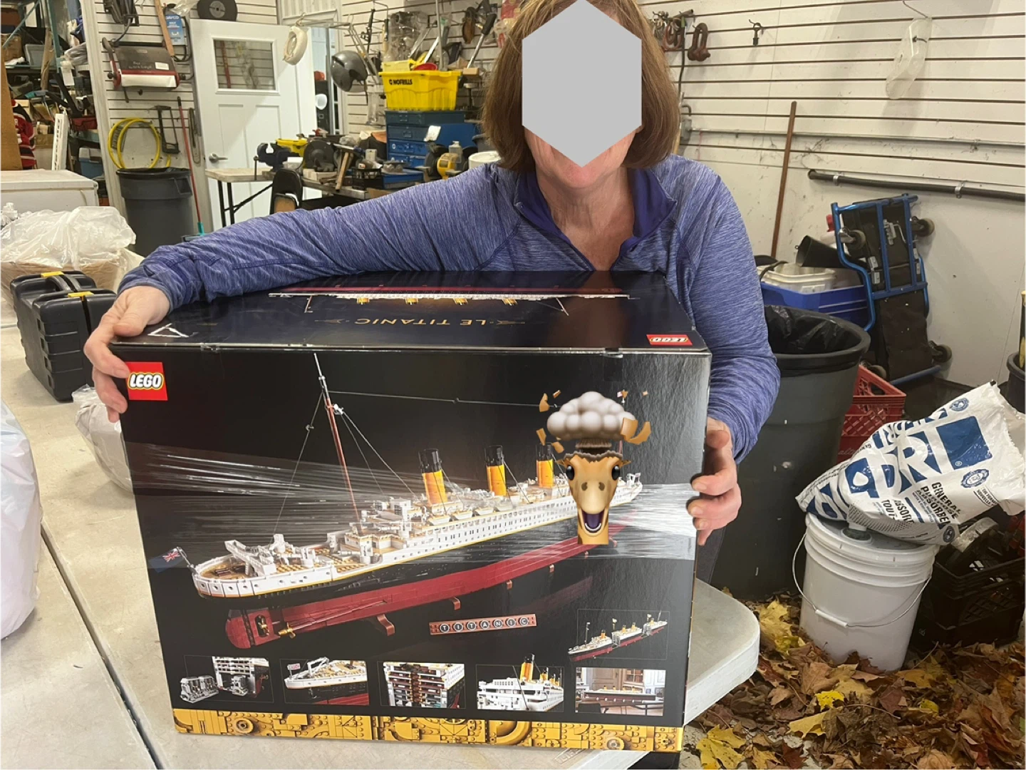 New LEGO Titanic Set - Model 10294
