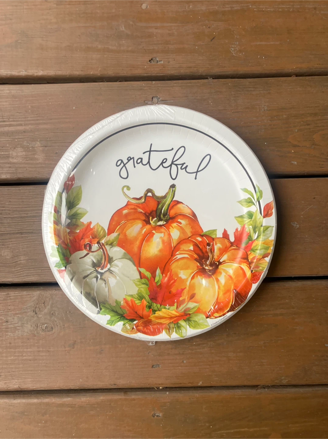 16 Thanksgiving Plates - 20 Napkins - Brand New - photo 3