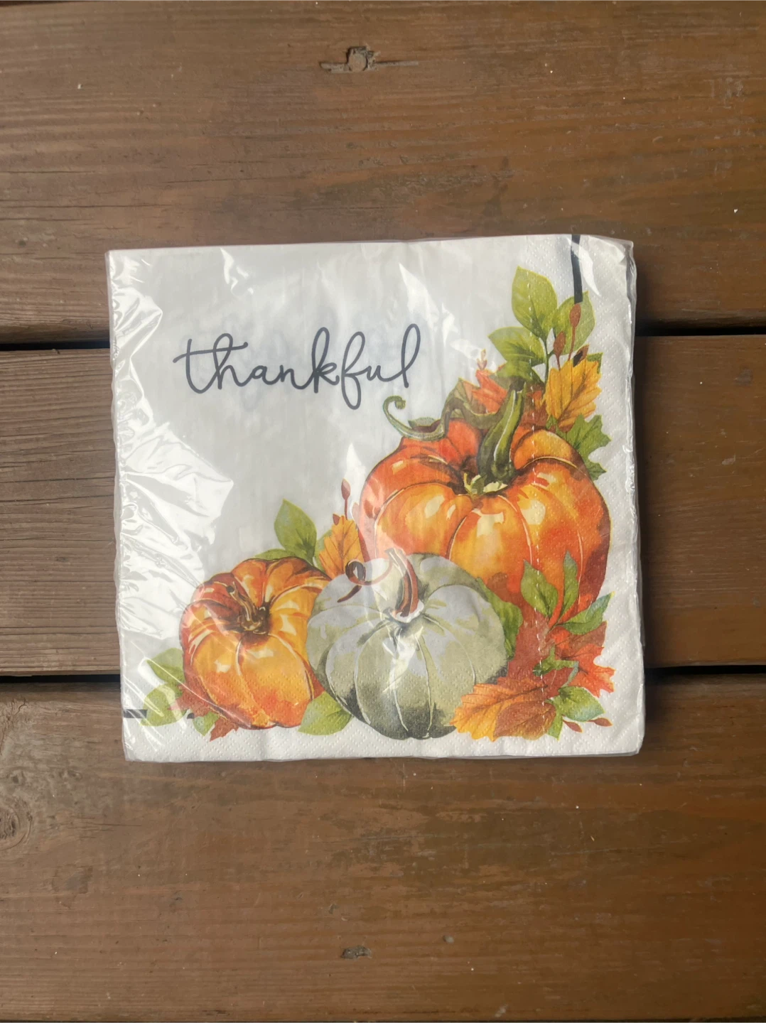 16 Thanksgiving Plates - 20 Napkins - Brand New - photo 4