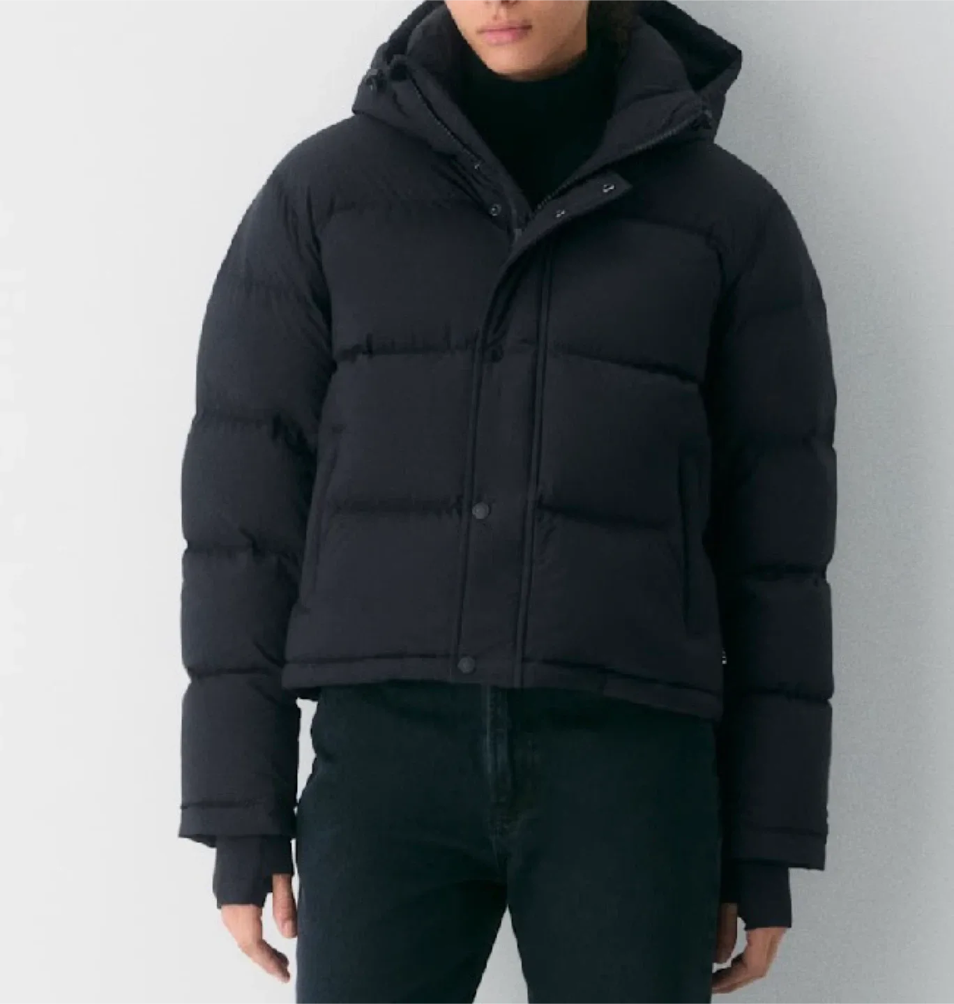 Aritzia The Super Puff Shorty - Size M image indicator(4)