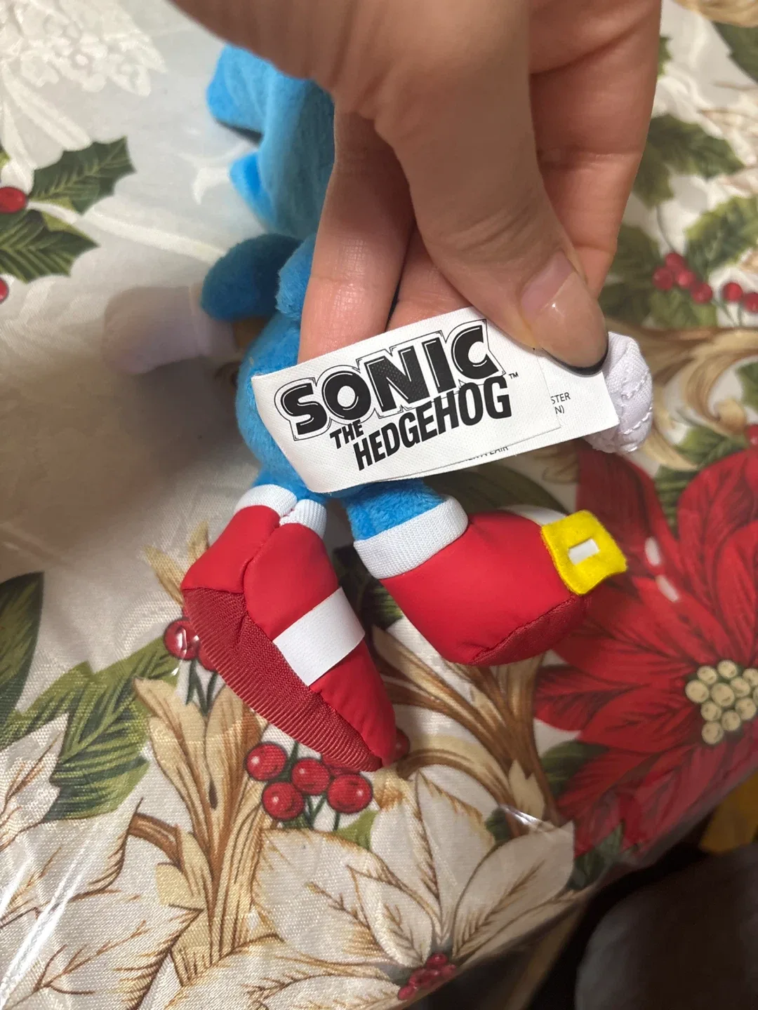 Sonic the Hedgehog Plush Toy image indicator(3)