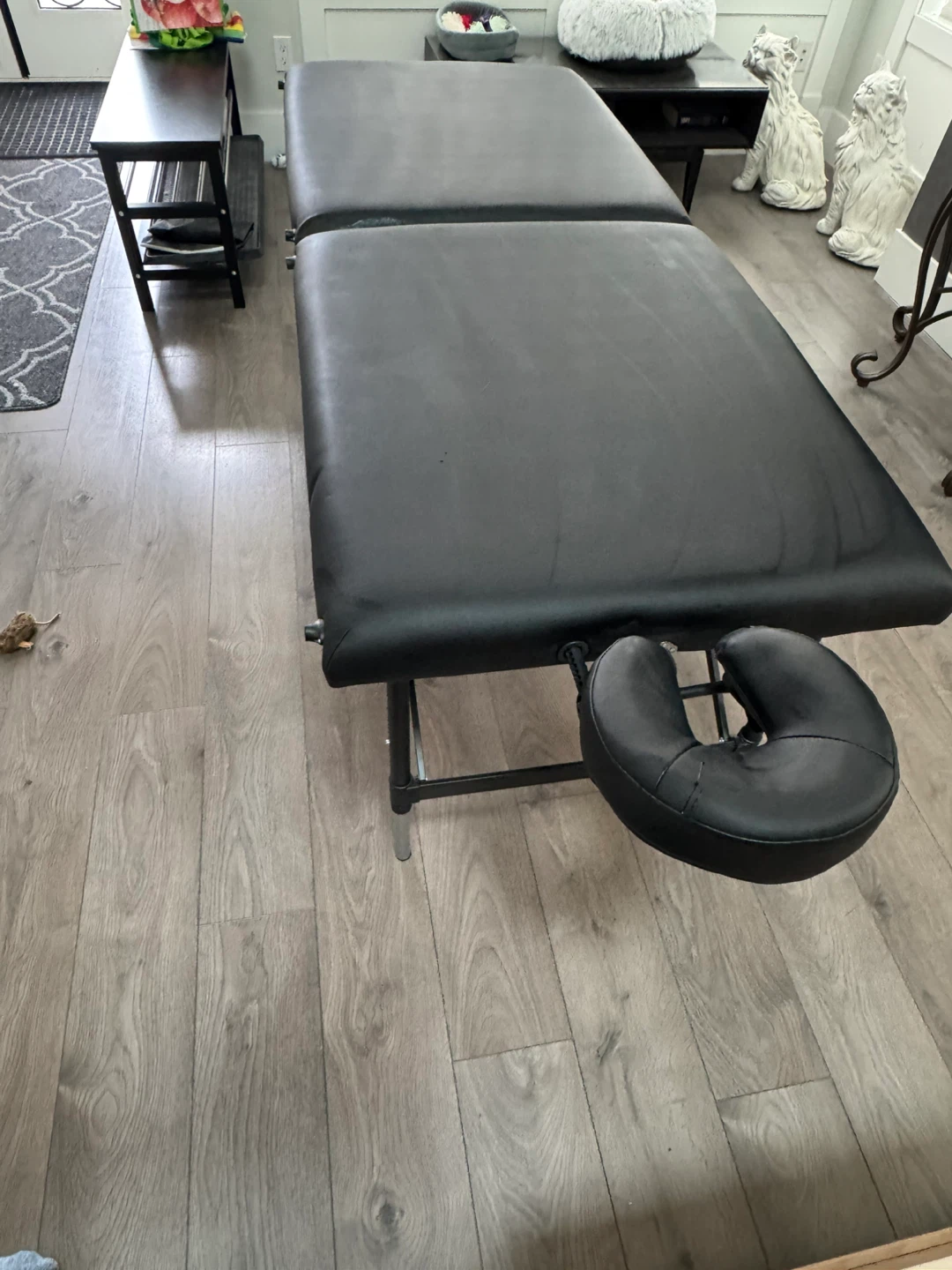 Portable Massage Table with Carrying Case - photo 2