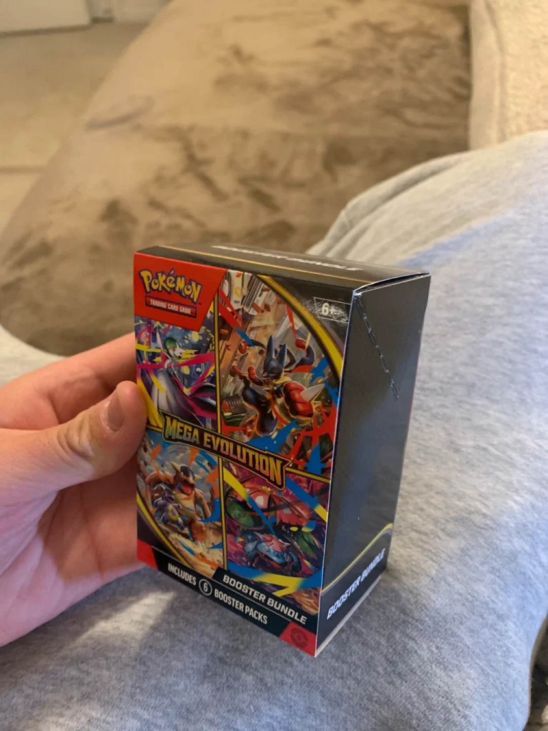 Pokemon Mega Evolution bulk image indicator(2)