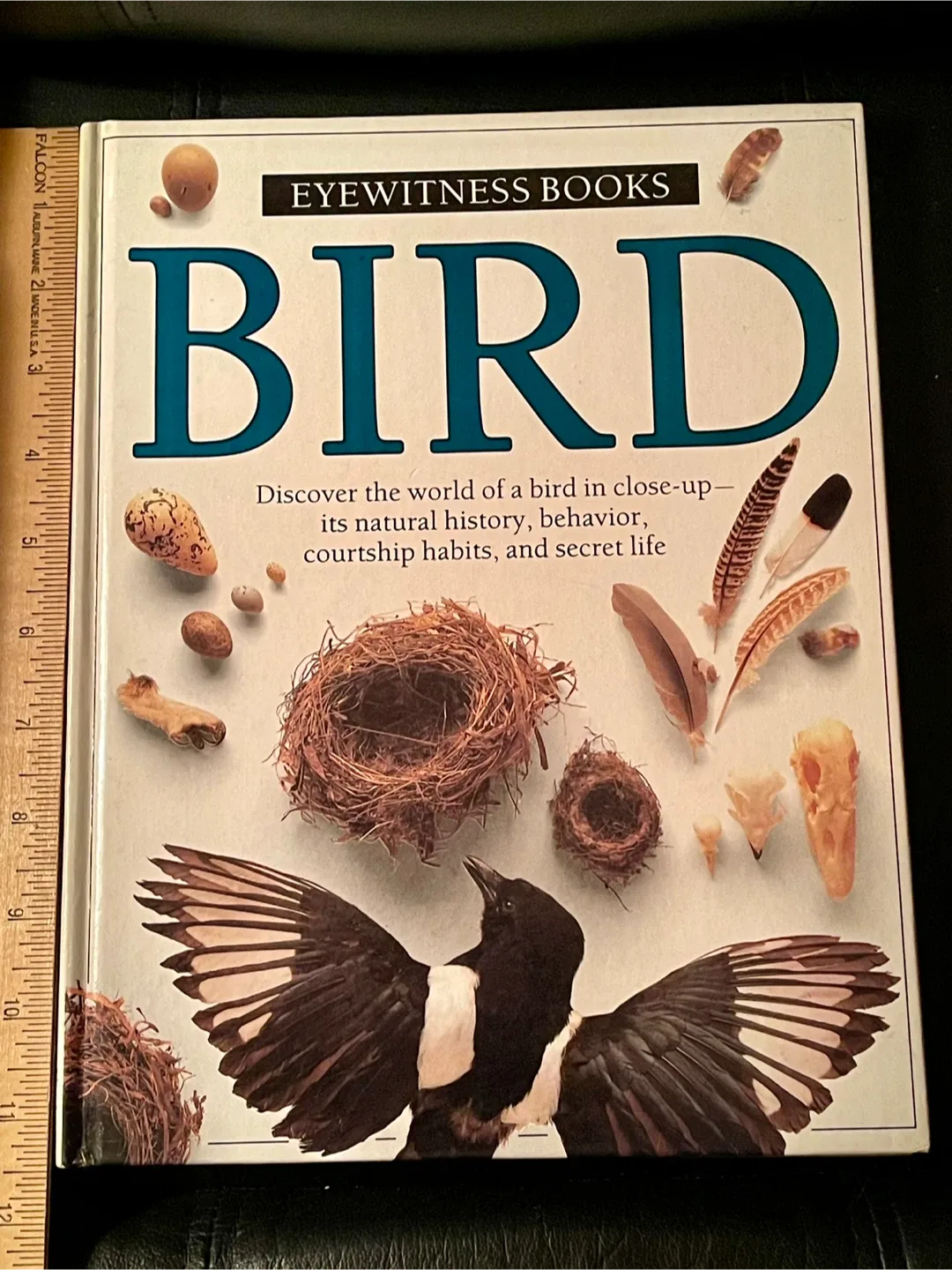 Eyewitness Books: Bird hardcover