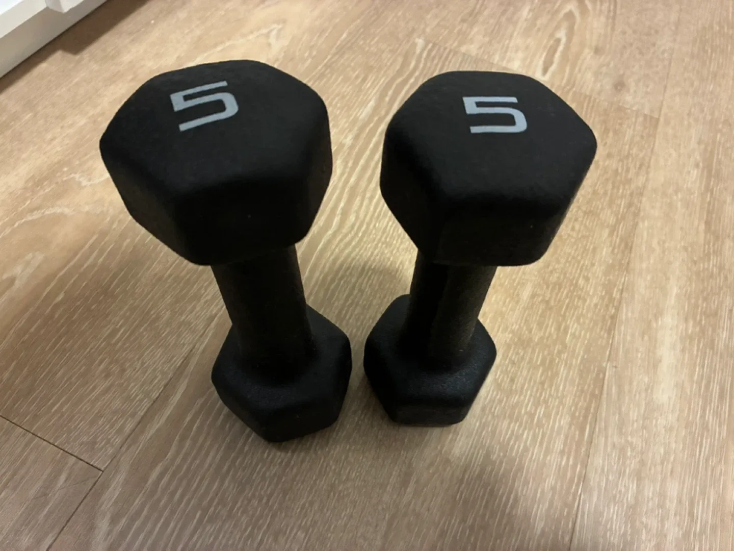 Set of 5 lb Dumbbells