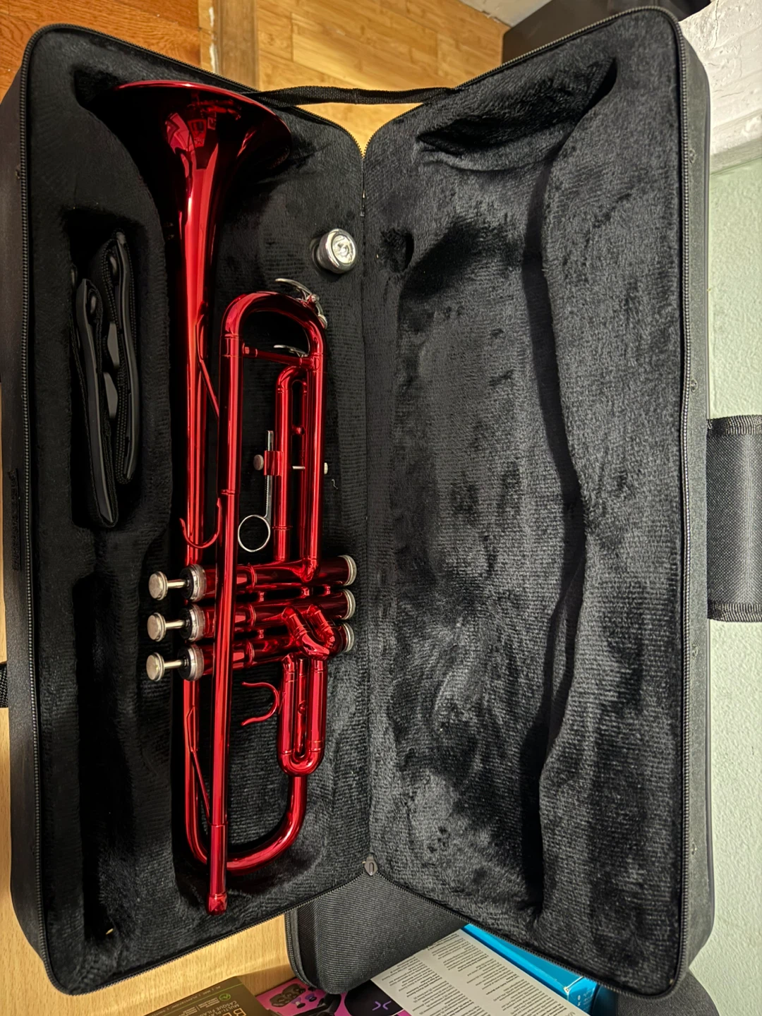 Red Trumpet with Case