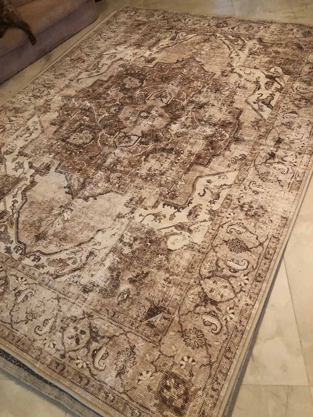Indoor Area Rug - Polyester & Rubber