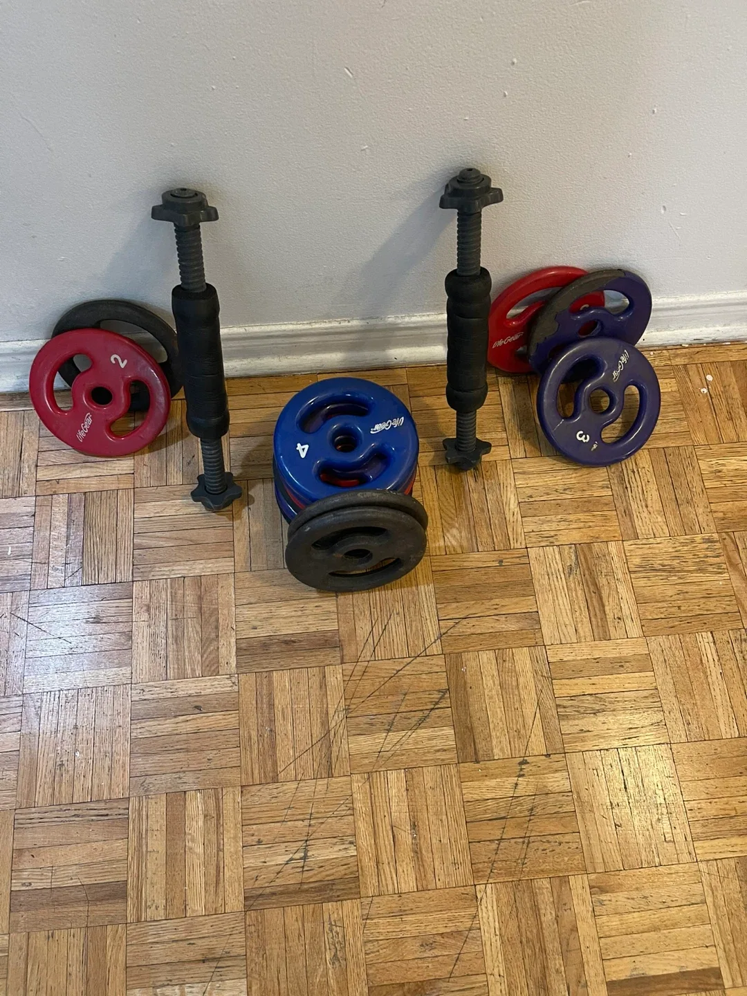 Life Gear Weight Set image indicator(2)