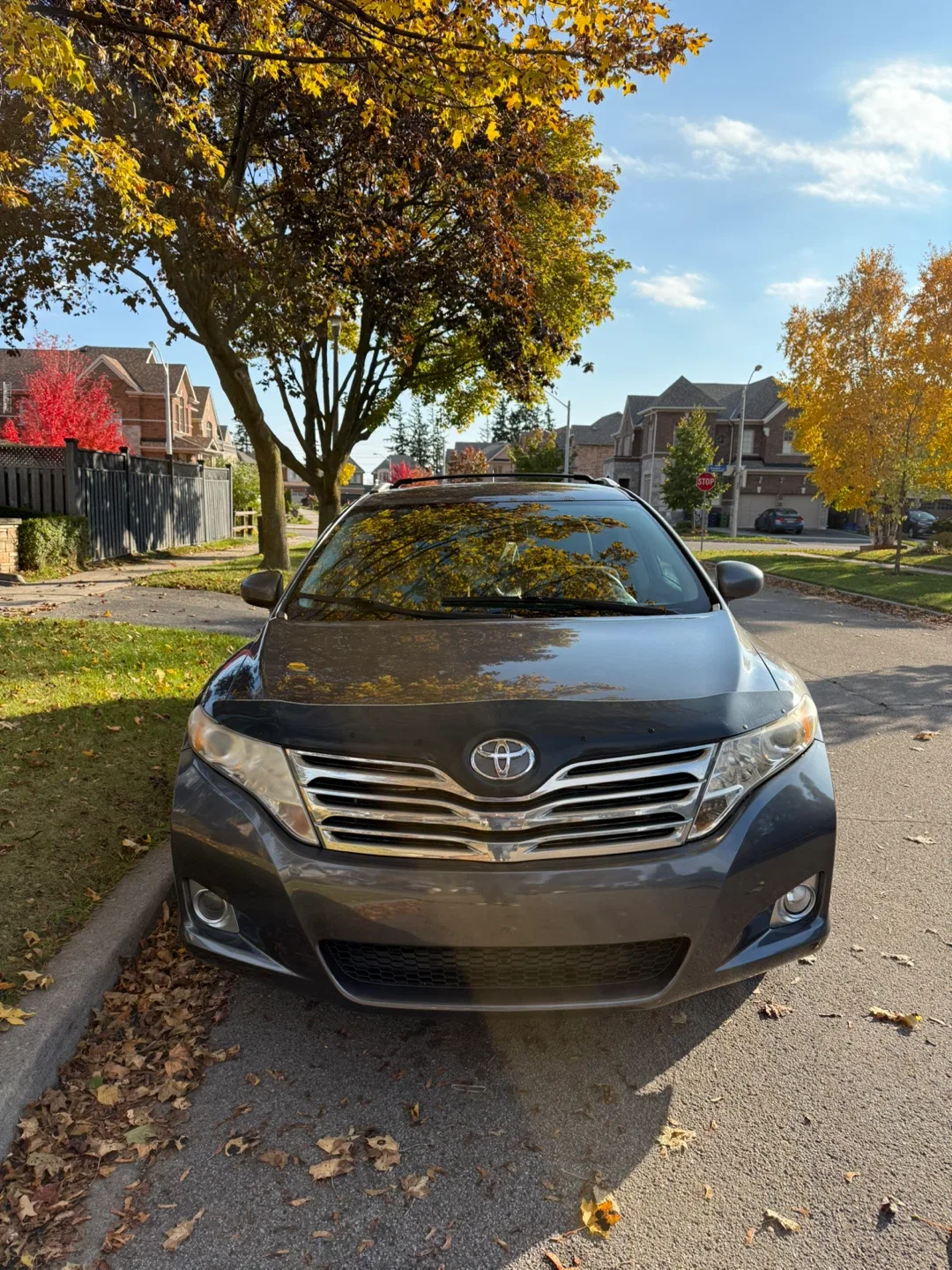 Toyota Venza SUV 2011 image indicator(9)