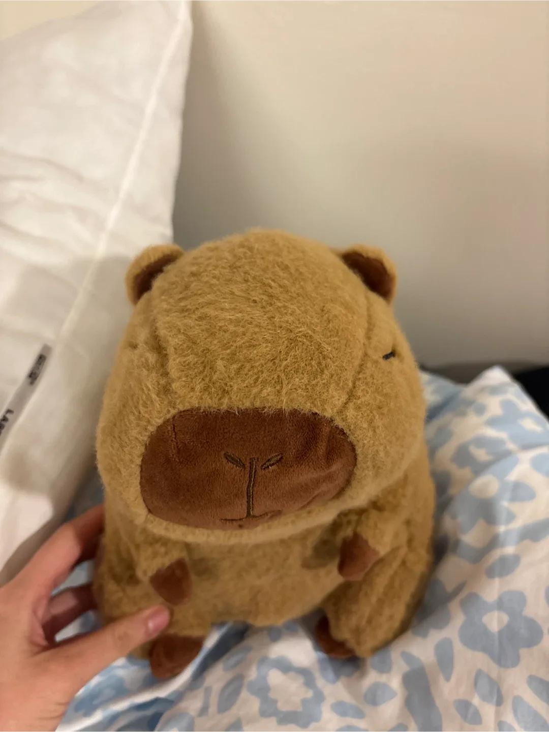 Capybara Plushie