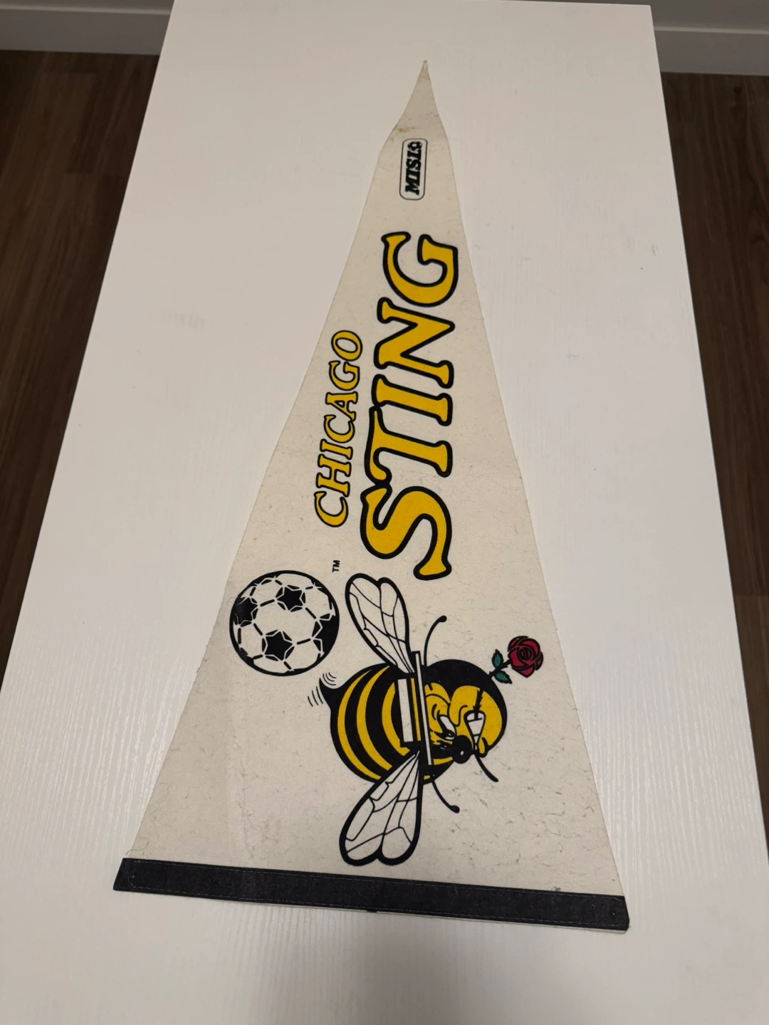 Vintage Chicago Sting Pennant