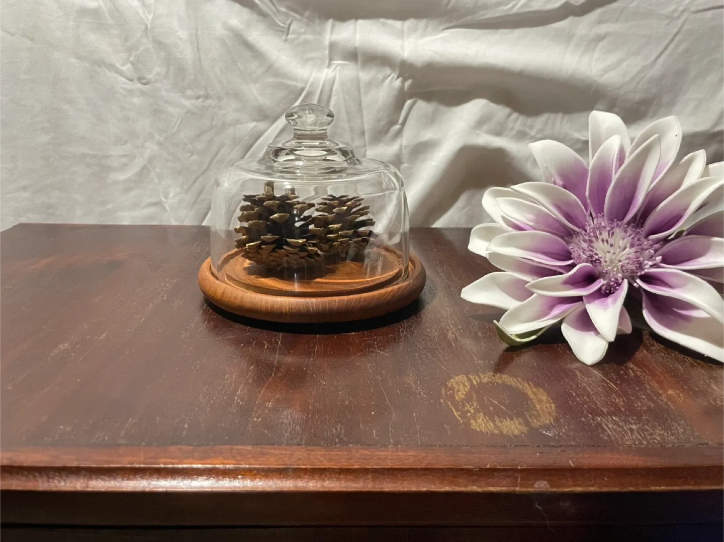 Glass Cloche with Wooden Base