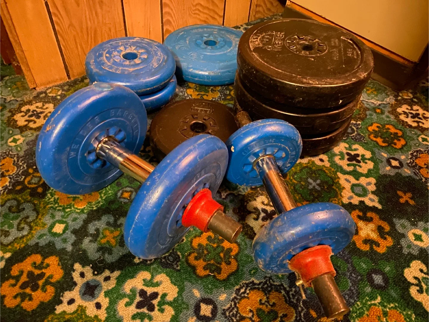 Dumbbell Set ~70lbs in Weights image indicator(2)
