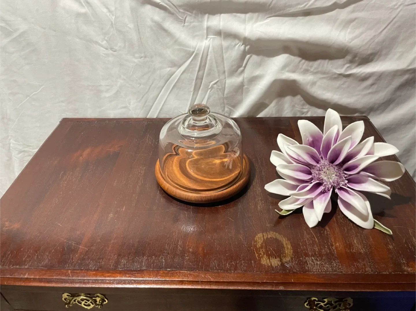 Glass Cloche with Wooden Base image indicator(3)