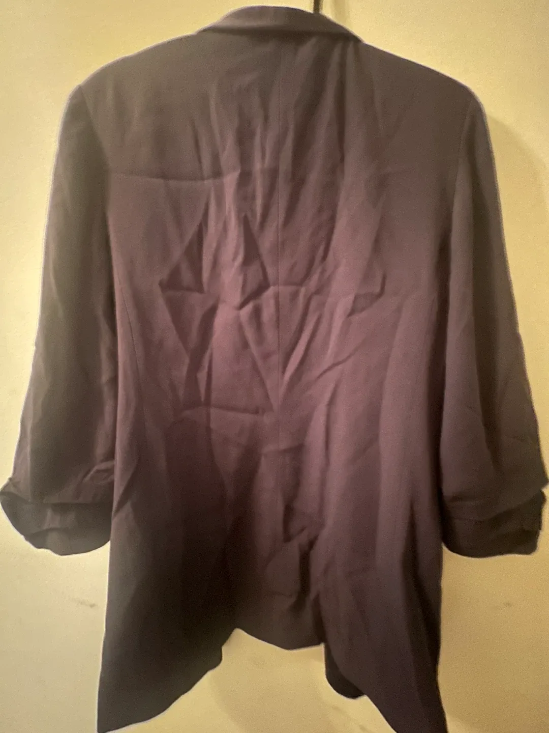 Aritzia Wilfred Montpellier Blazer image indicator(2)