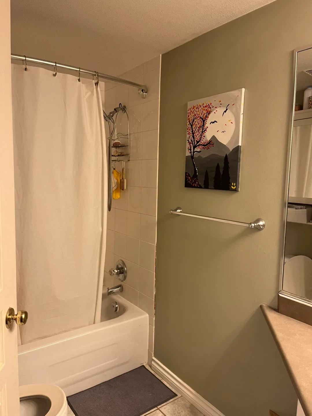 Apartment for Rent 1Br 1Ba image indicator(7)