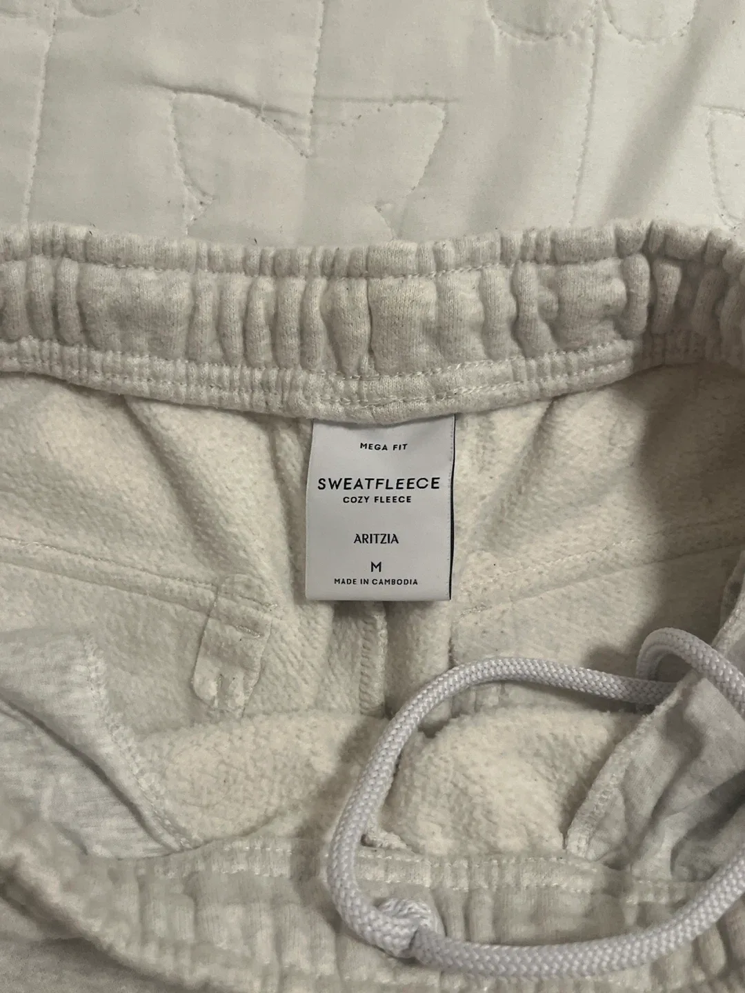 Aritzia Sweatfleece Cargo Pants - Size M image indicator(4)