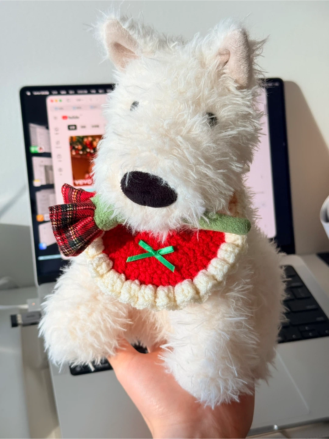 Crochet pet bib