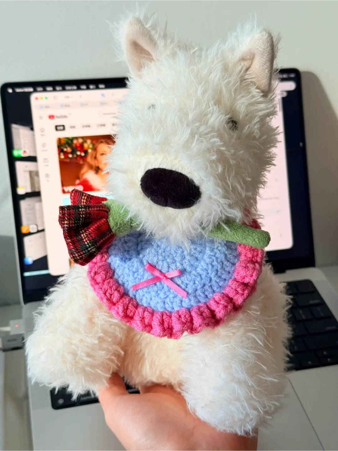 Crochet pet bib image indicator(3)