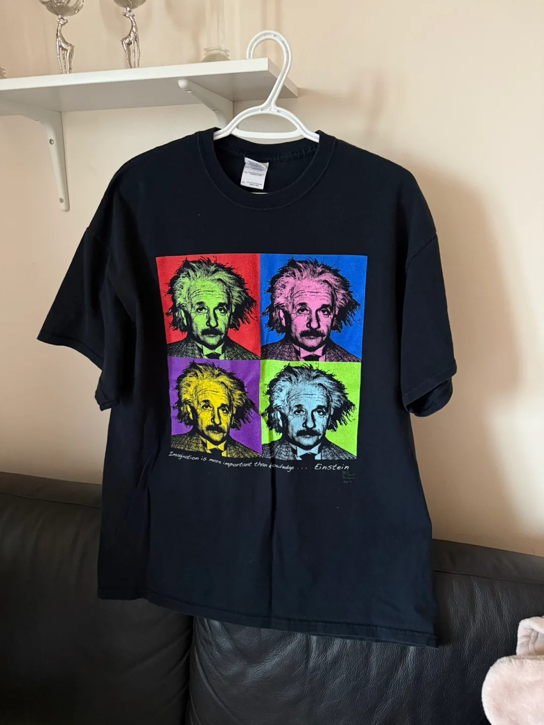 Gildan Einstein Pop Art Tee - XL