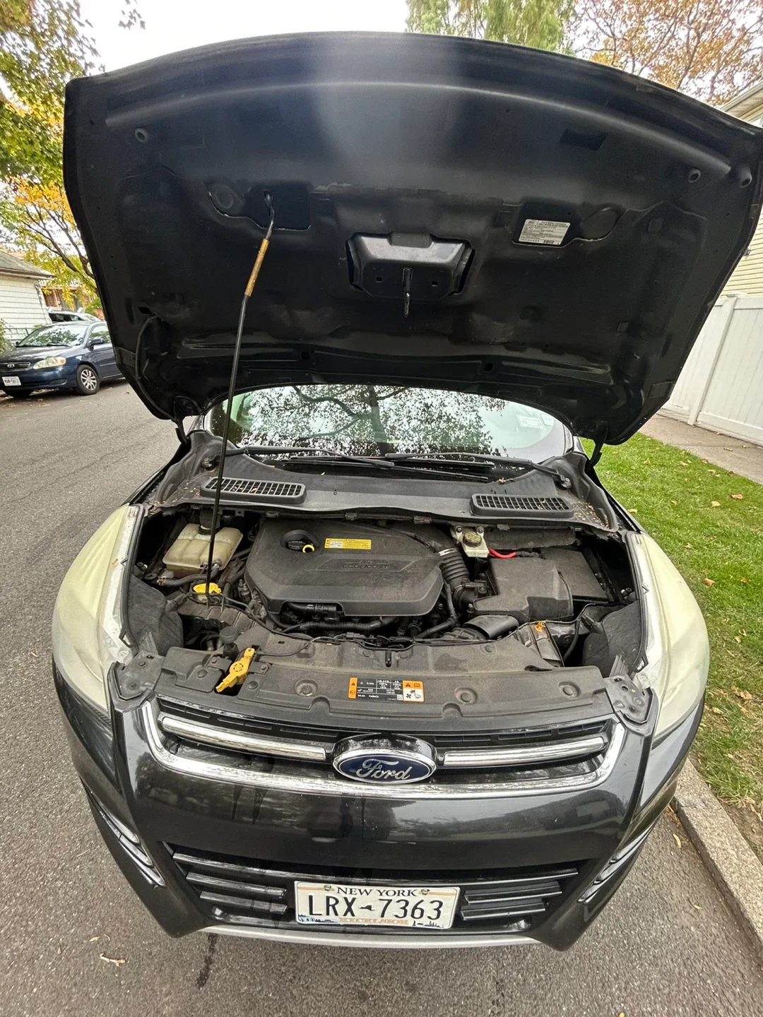 Ford Escape - Black 2013 image indicator(7)