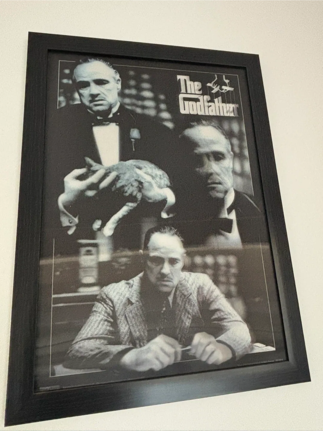 "The Godfather" Framed Poster - Paramount Pictures 2008 image indicator(6)