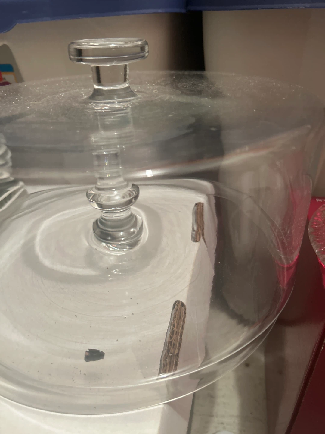 Glass Cake Stand with Dome Lid