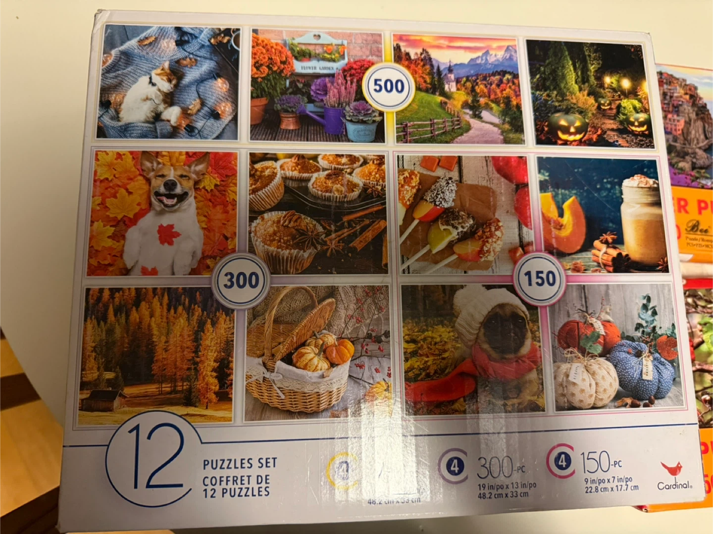 Cardinal 12 Puzzles Set