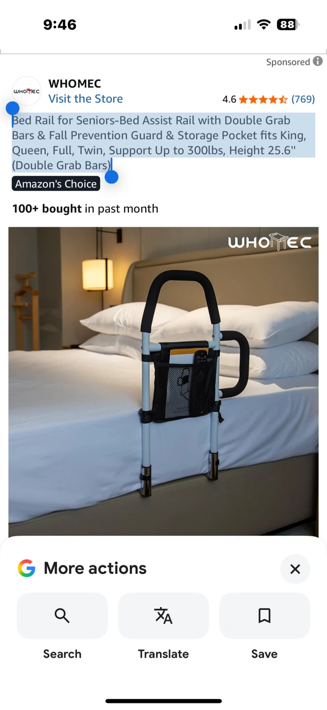WHOMEC Bed Assist Rail with Double Grab Bars