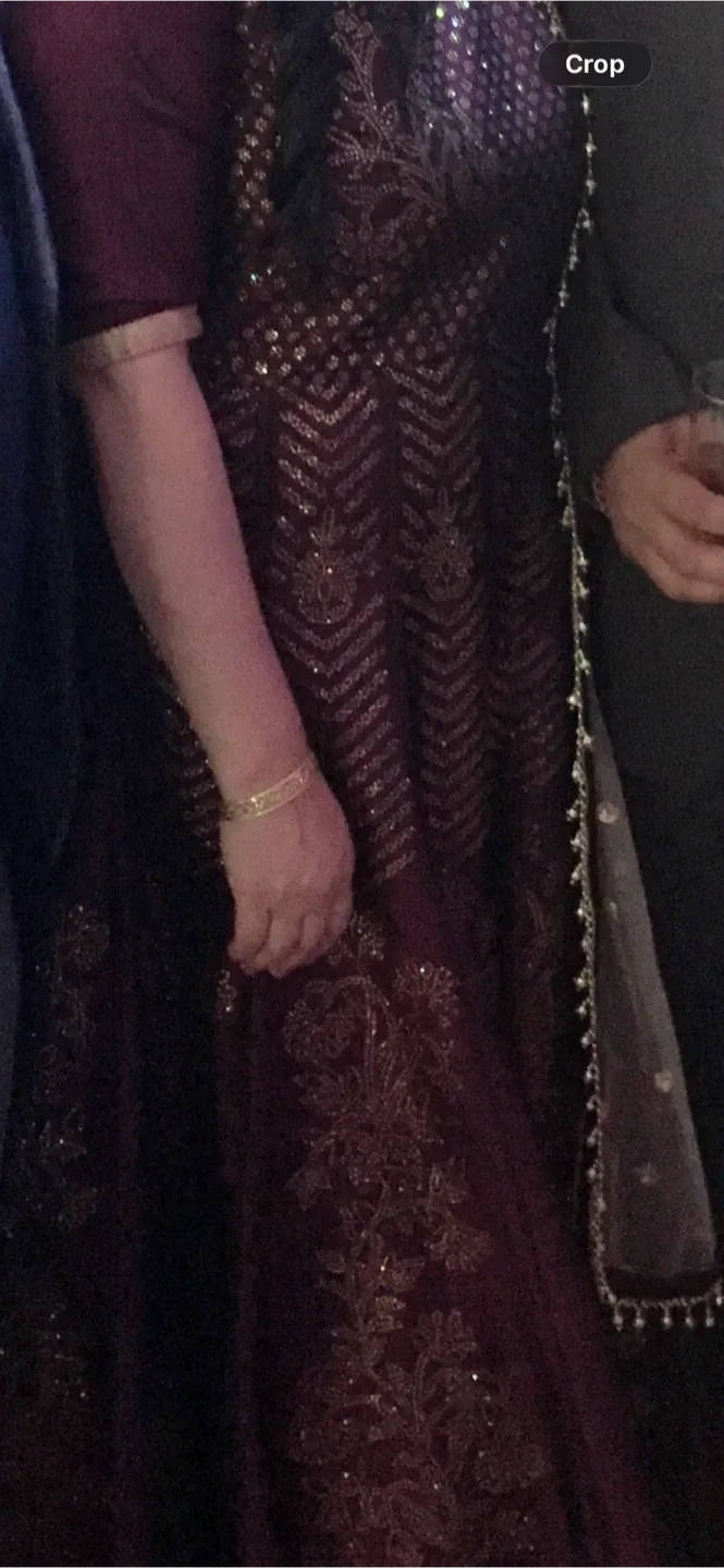 Burgundy & Gold Embroidered Anarkali Suit image indicator(3)