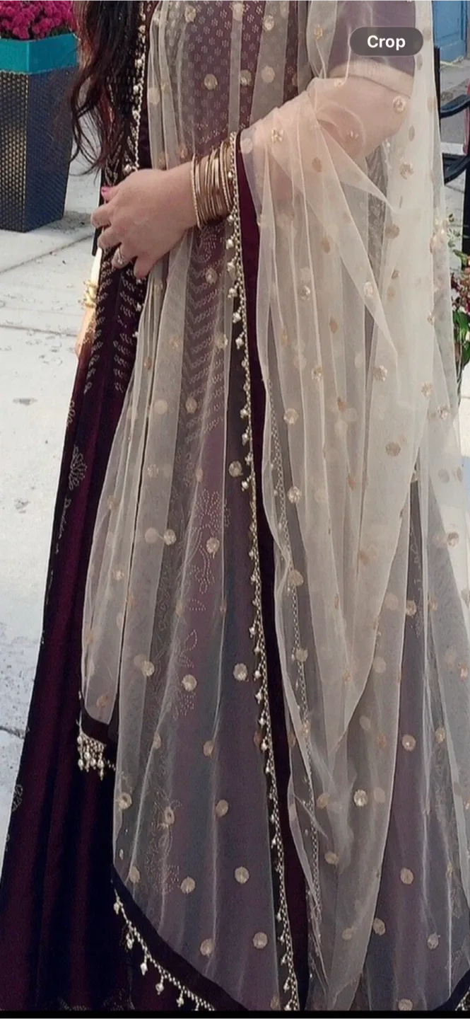 Burgundy & Gold Embroidered Anarkali Suit image indicator(4)