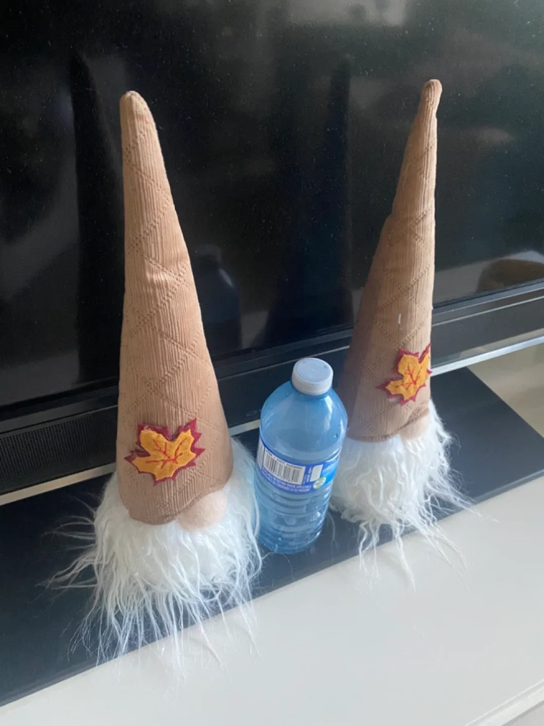 Fall Gnomes - Set of 2 image indicator(2)