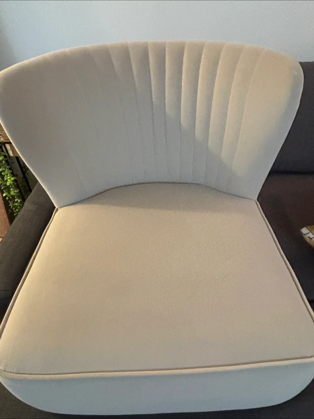 Brand New velvet side chair with gold metal legs image indicator(3)