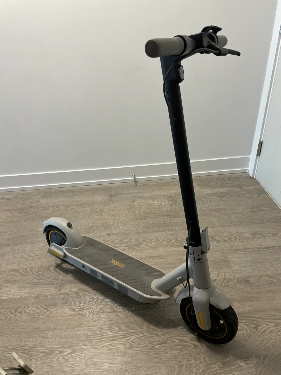 Ninebot Electric Scooter
