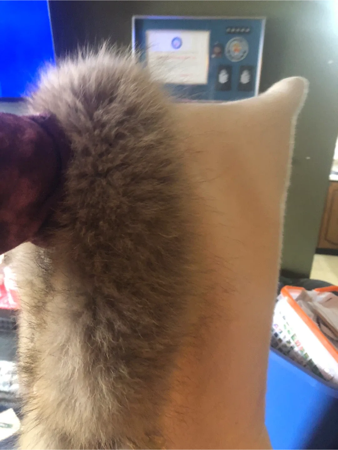 Handmade authentic Inuit coats image indicator(6)