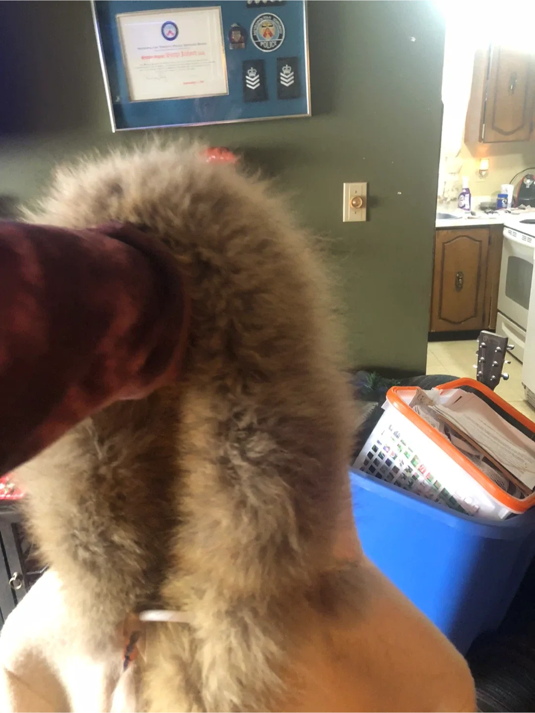 Handmade authentic Inuit coats image indicator(5)