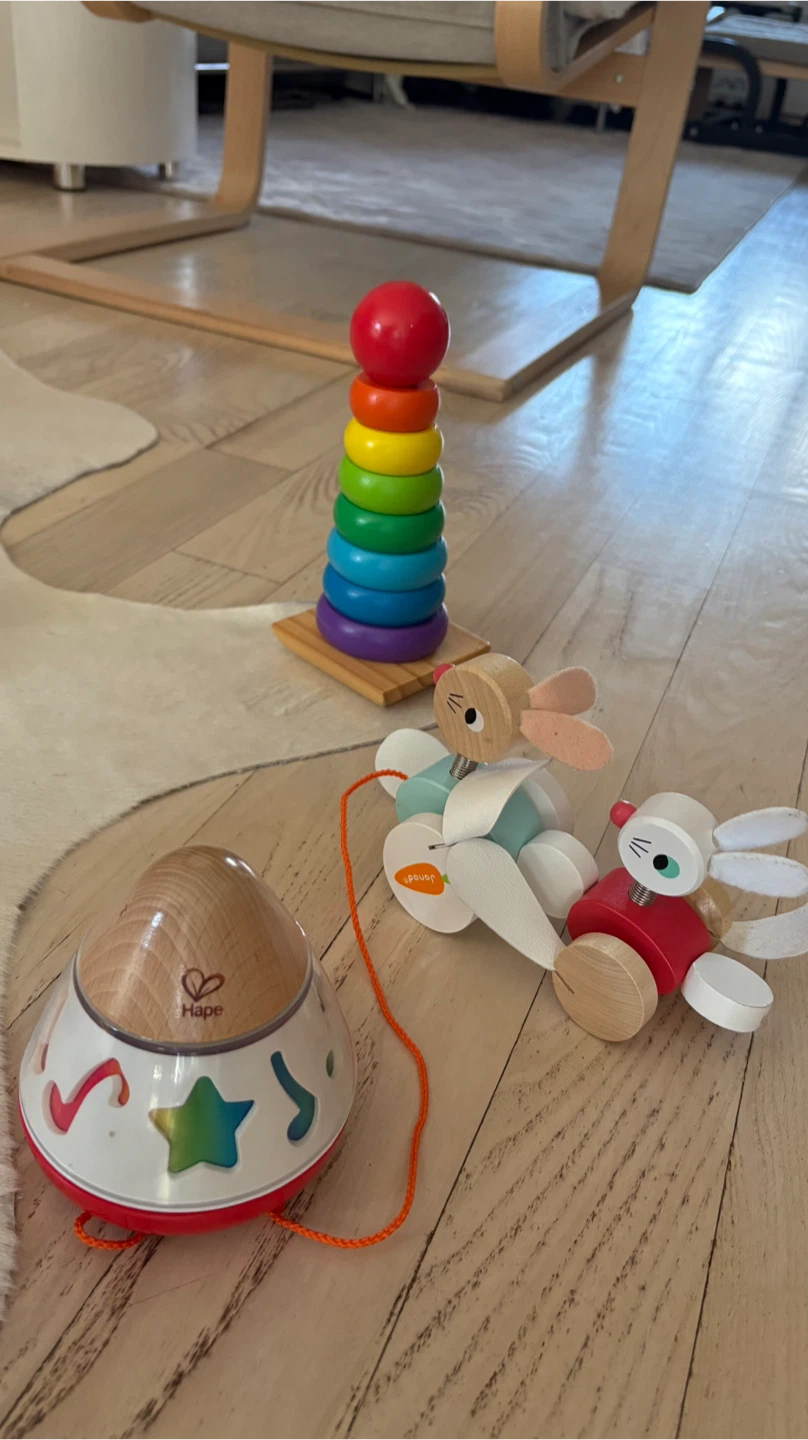Hape Musical Pull Along Toy - photo 2