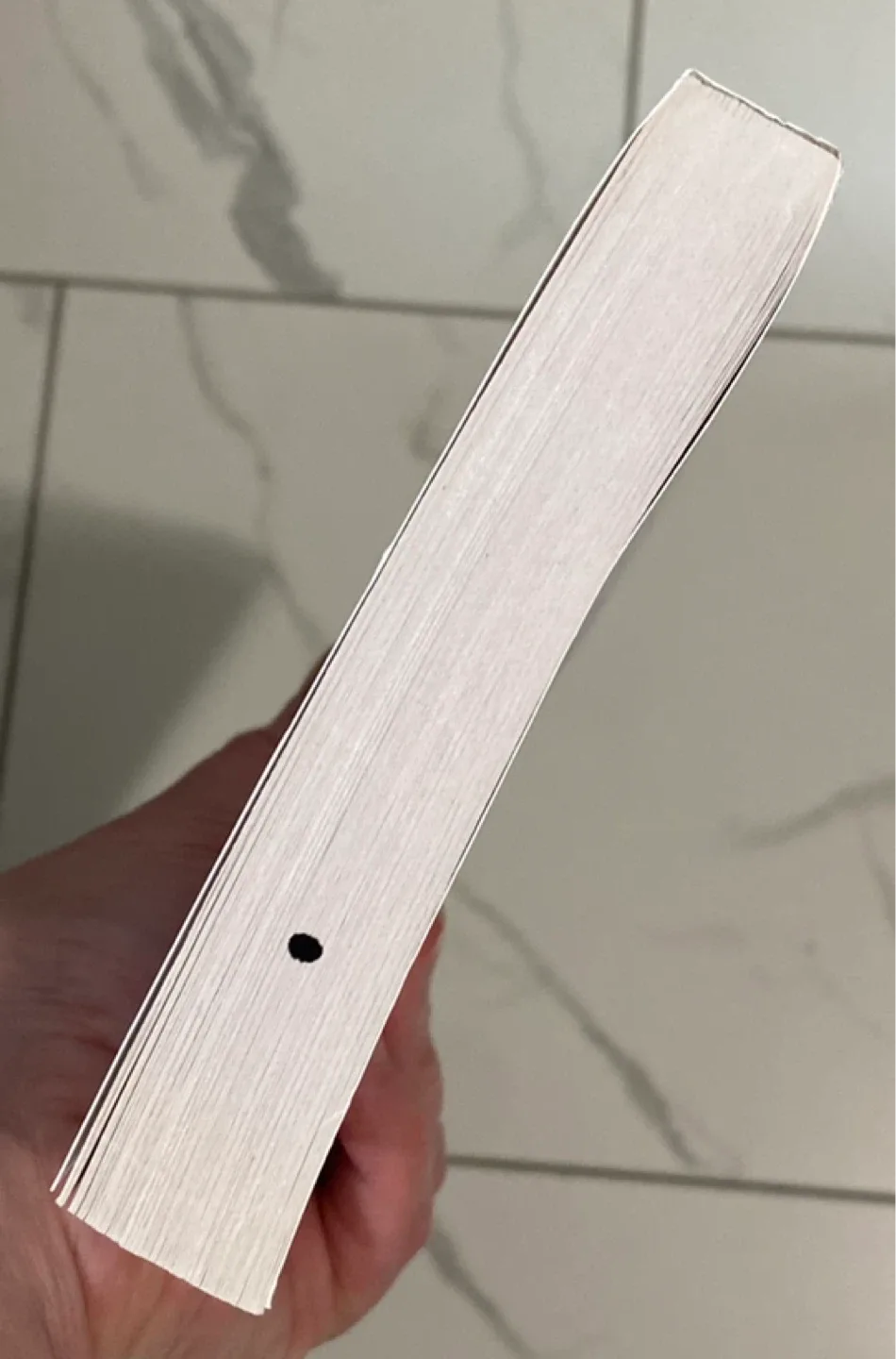 The Shore by Katie Runde - A Novel image indicator(5)