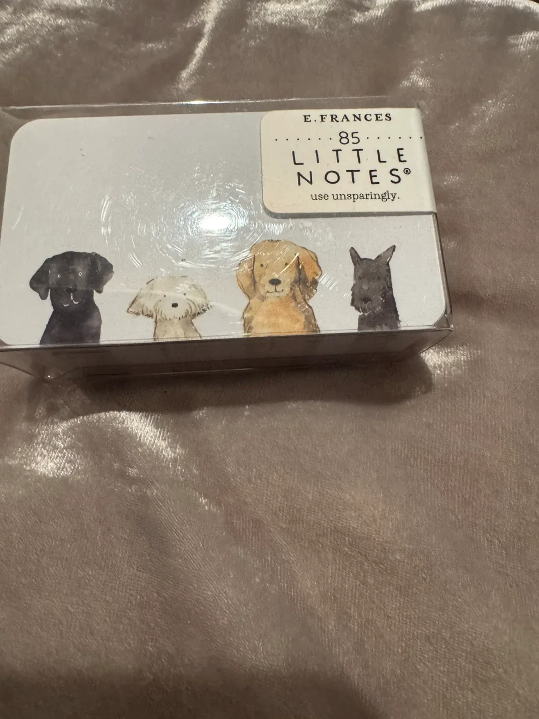 E. Frances Little Notes - New