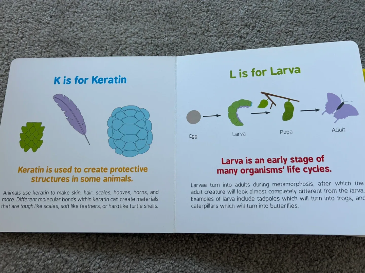 ABC's of Biology & Mathematics Books image indicator(3)