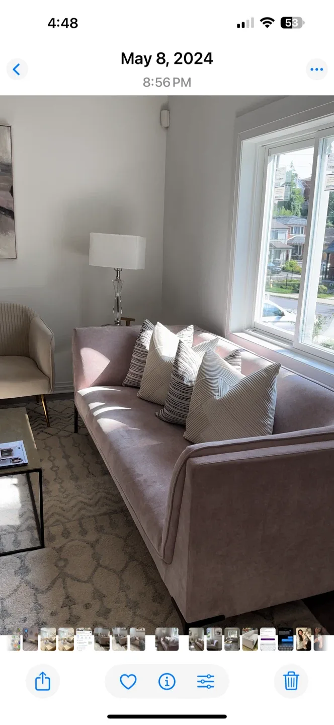 Pink Velvet Sofa image indicator(3)