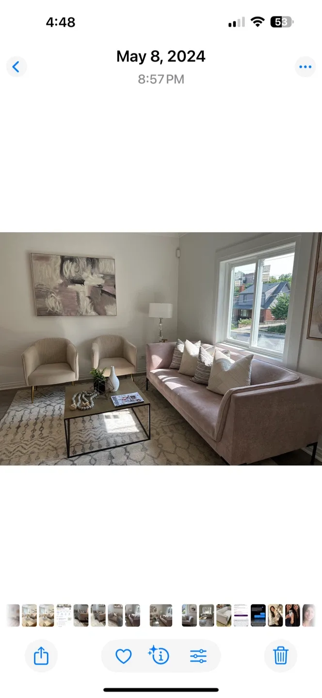 Pink Velvet Sofa image indicator(4)