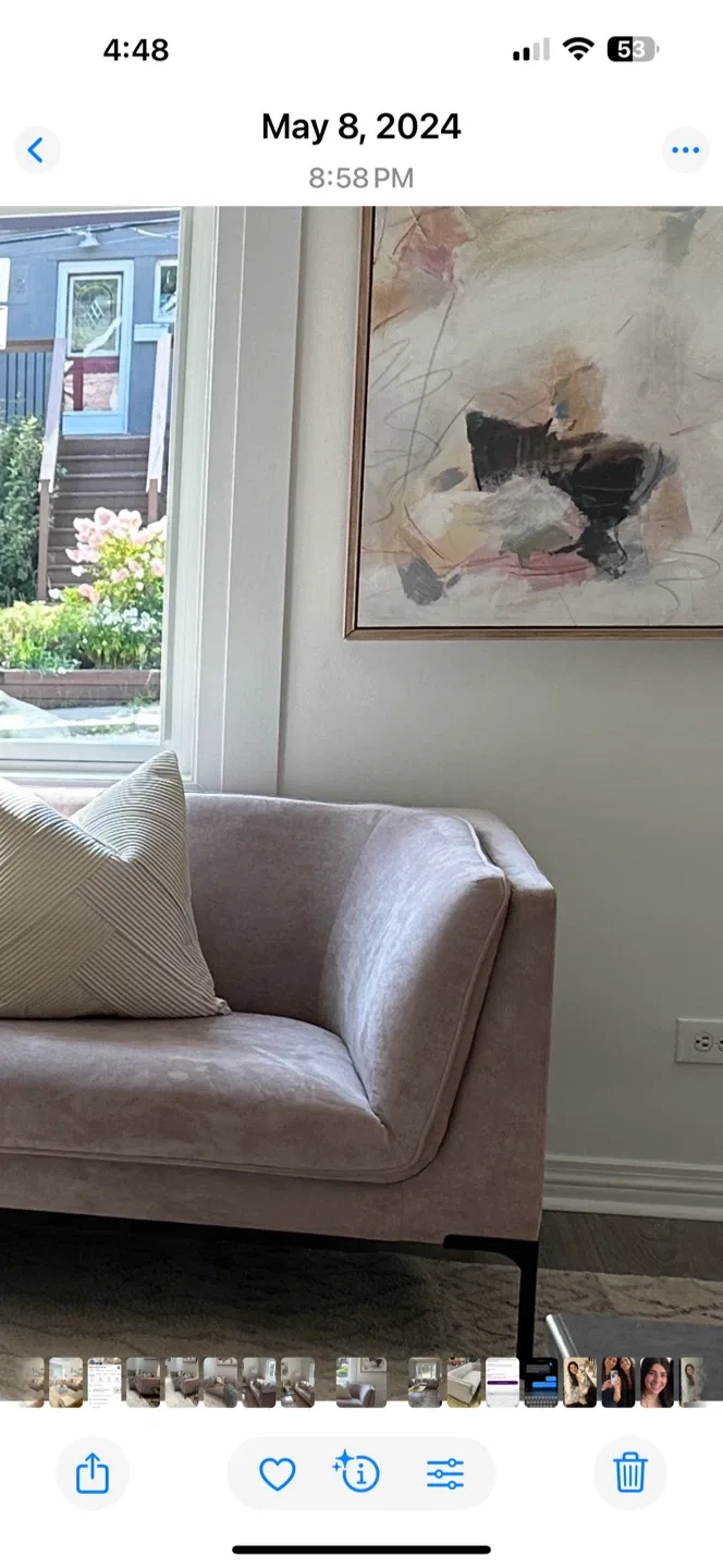 Pink Velvet Sofa image indicator(7)