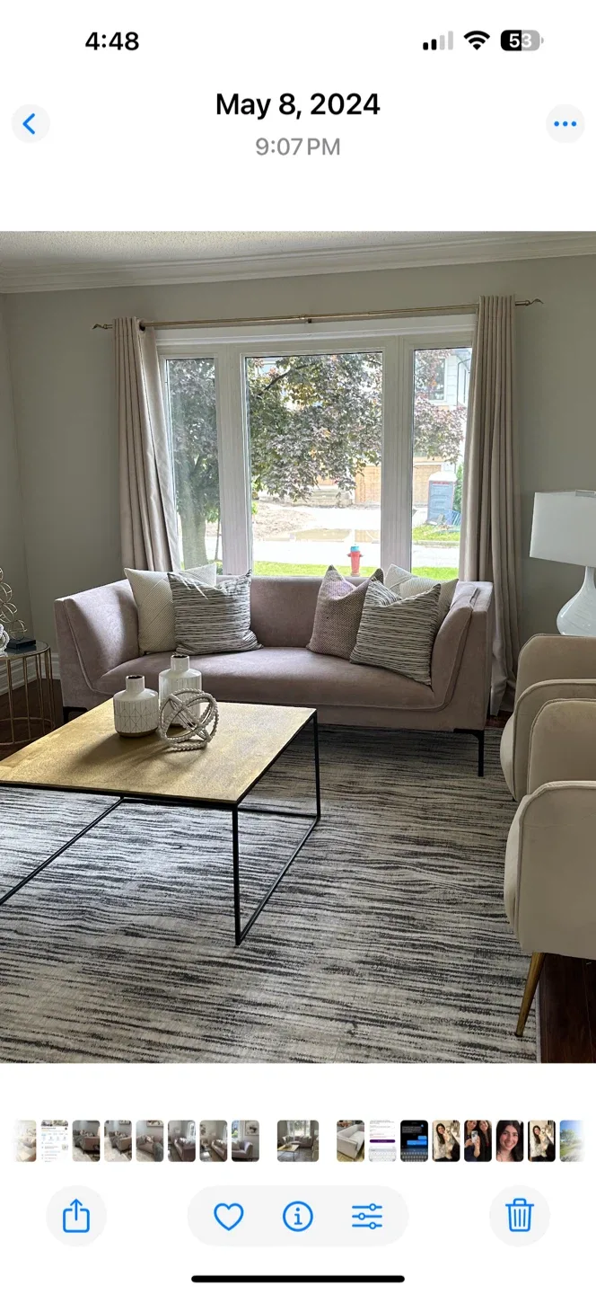 Pink Velvet Sofa image indicator(6)