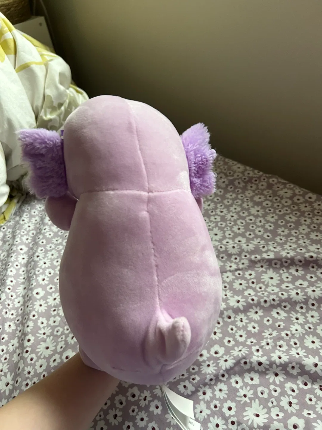 Squishmallows HugMees Anastasia the Axolotl Plush image indicator(2)